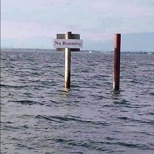 Meet your Posher, Stacey l